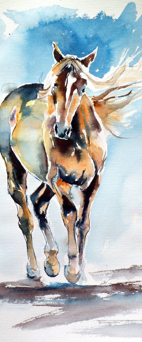 Walking horse by Kovács Anna Brigitta