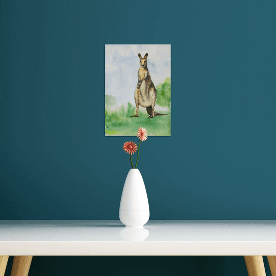 The Alert Kangaroo