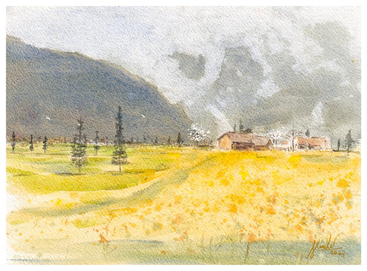 Landscape Watercolour By Hua Le, 11 X 9, Canola Fields, Original Artwork