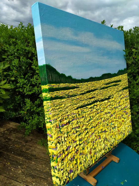 Summer Golden Fields