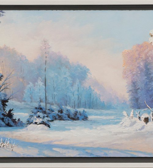 WINTER DAY by Oleksii Vylusk