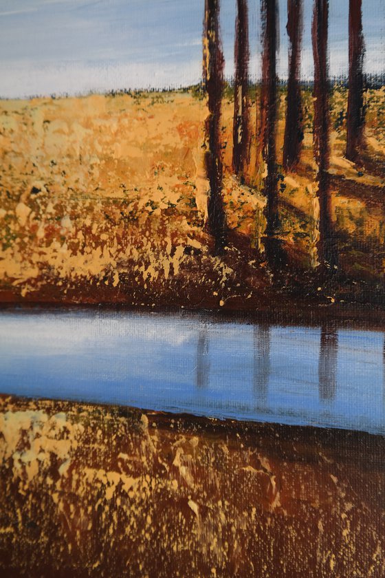 Limited Reflexions  - Fields and Colors Series