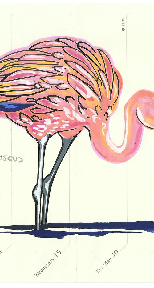 Birds of North America: Greater Flamingo by Fran Giffard