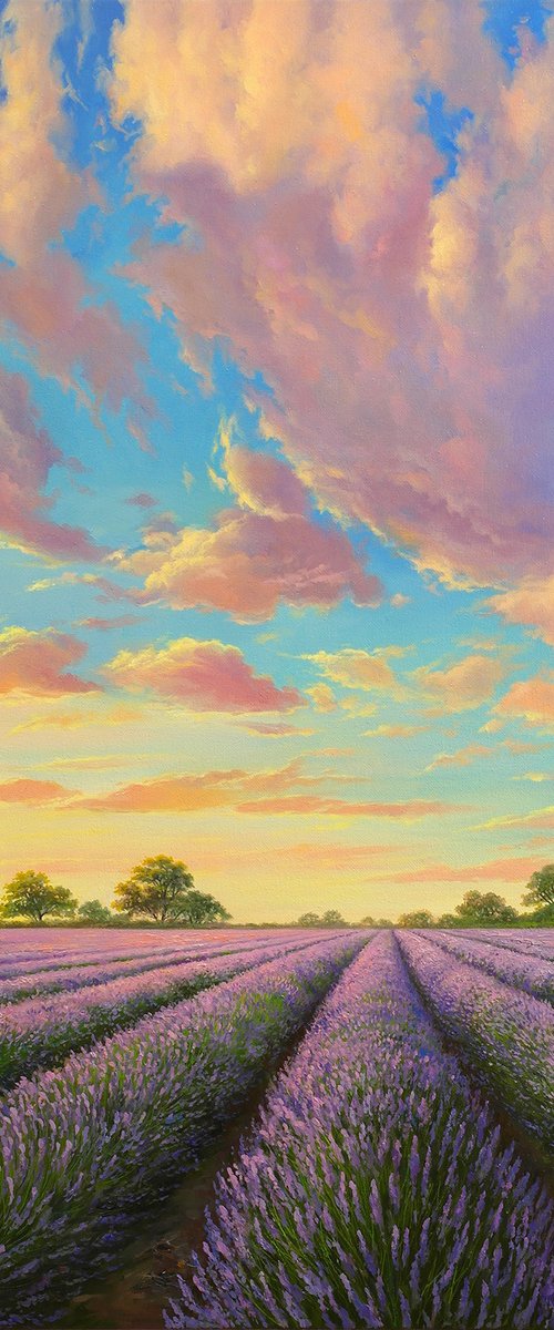 Lavender dreams by Eduard Zhaldak