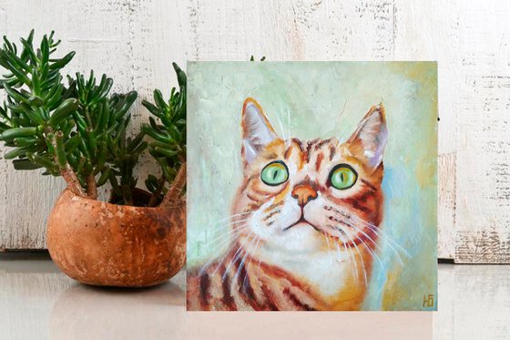Tabby Cat Portrait