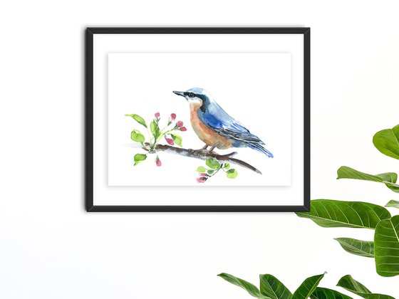Spring bird watercolor