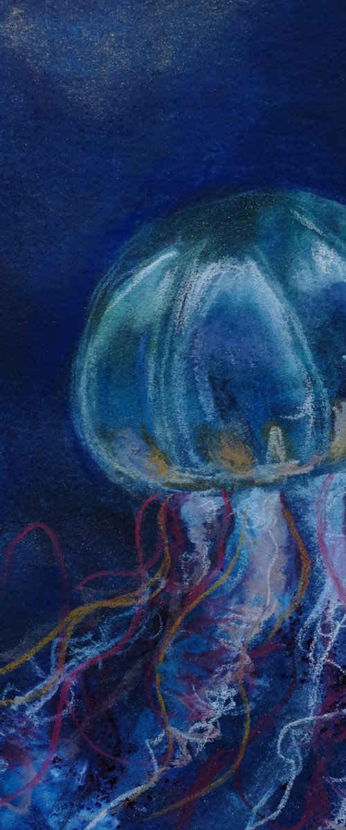 Jellyfish by Dawn Rodger