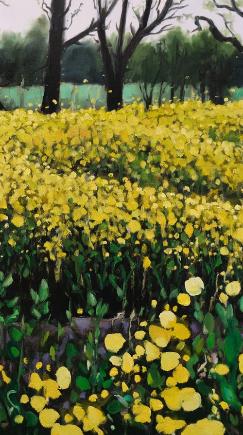 A walk through yellow fields by Kerry Lisa Davies