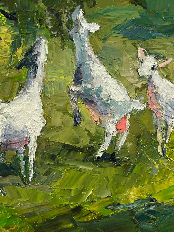 Summer Day on the Pasture