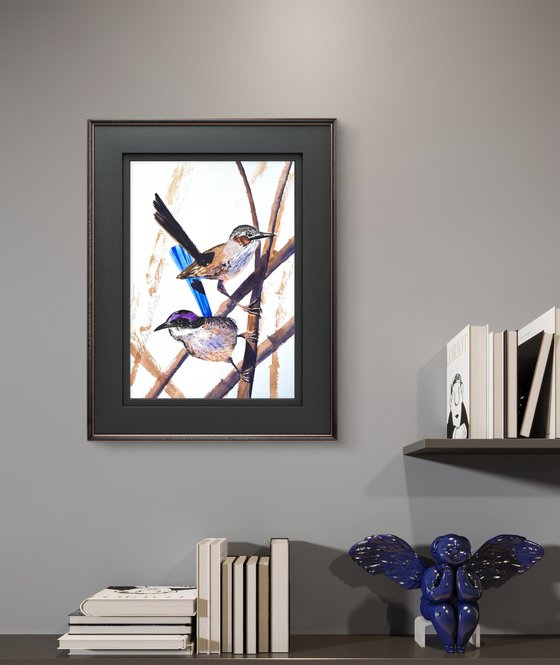 Pair Purple-crowed Fairy-wrens