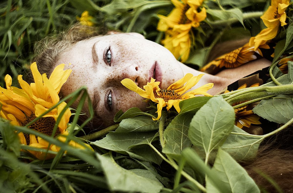 Sunflower by Alexandra Bochkareva