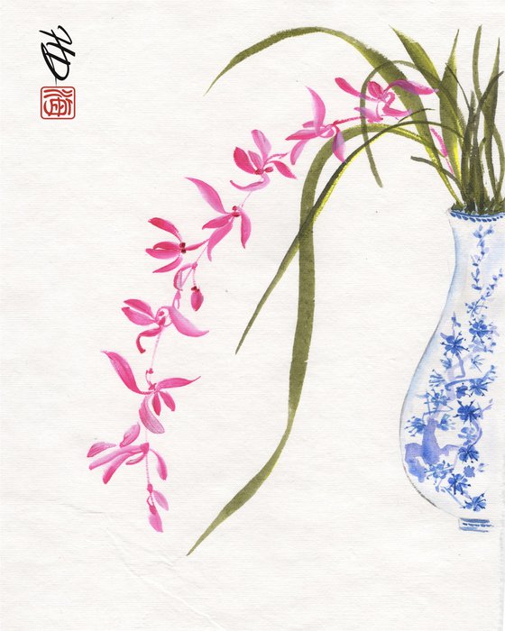 Pink Orchid