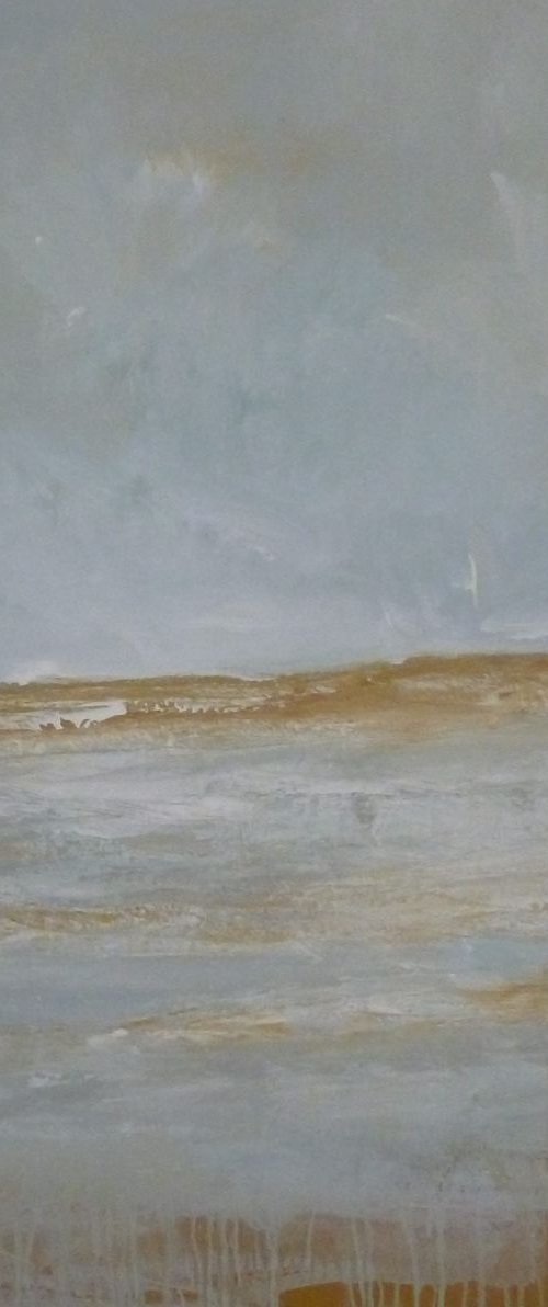 Shore to Shore by Fiona Philipps