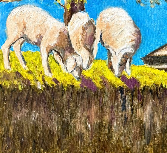 Sheep grazing under a tree