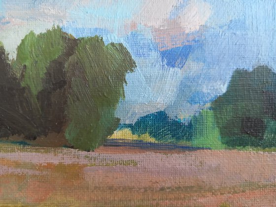 Longrun Meadow