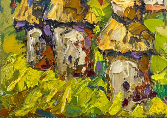 Quiet summer morning