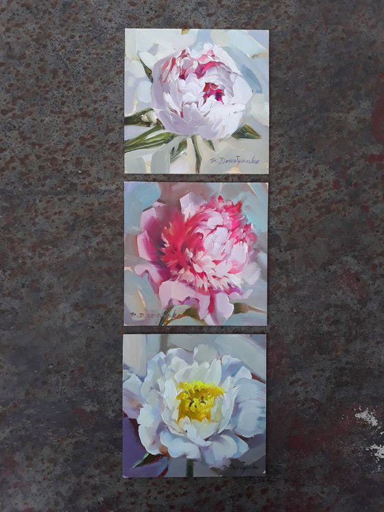 Peonies