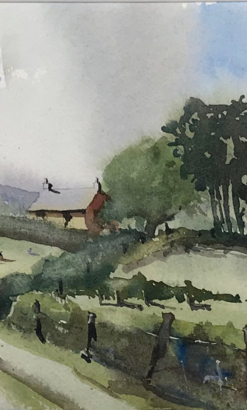 The Green Lane by Vicki Washbourne