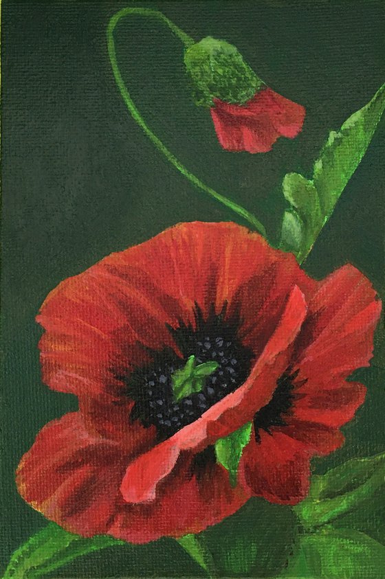 POPPIES