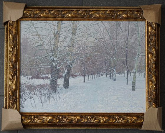 Snow-covered boulevard in Maryino