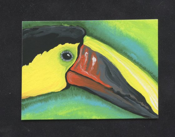 ACEO ATC Original Miniature Painting Toucan Parrot Bird Art-Carla Smale