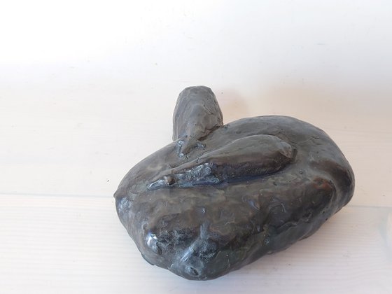 The Flow of the flock