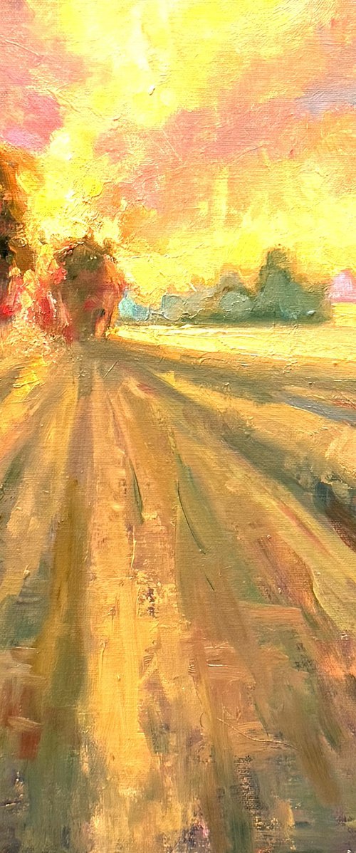 Fields of Gold by Emily Lane