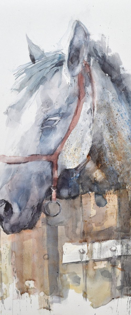 Head of horse 09(70x50) by Goran Žigolić Watercolors