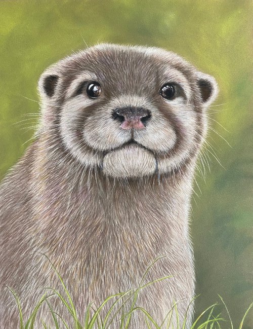 Otter by Maxine Taylor