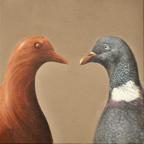 Wood pigeons by Mike Skidmore