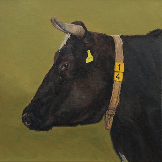 Black Cow