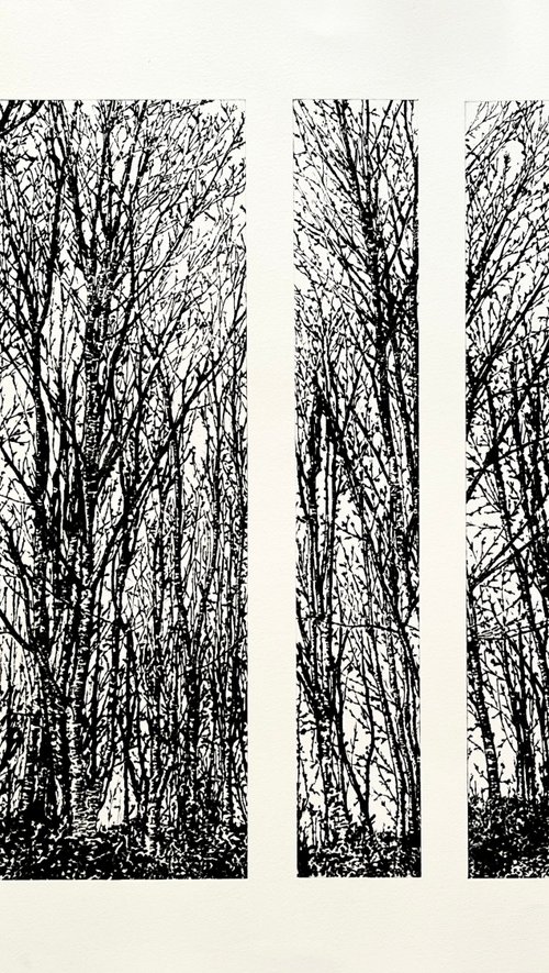 Quiet Spaces by Michelle Hinshelwood