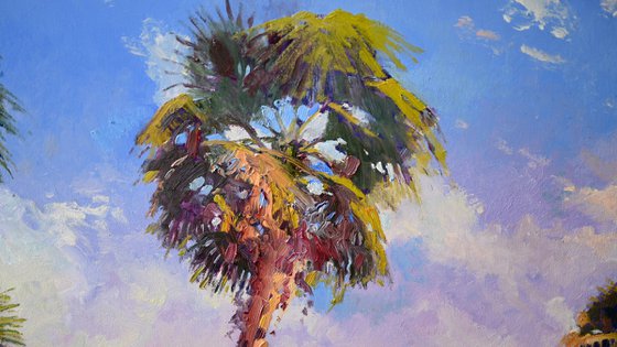 Palm Trees in California