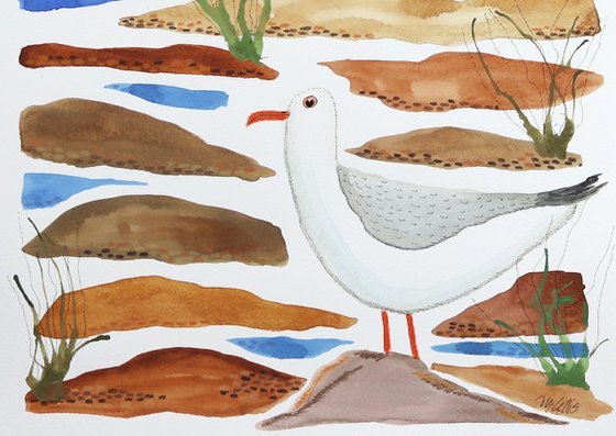 A stroll on the beach