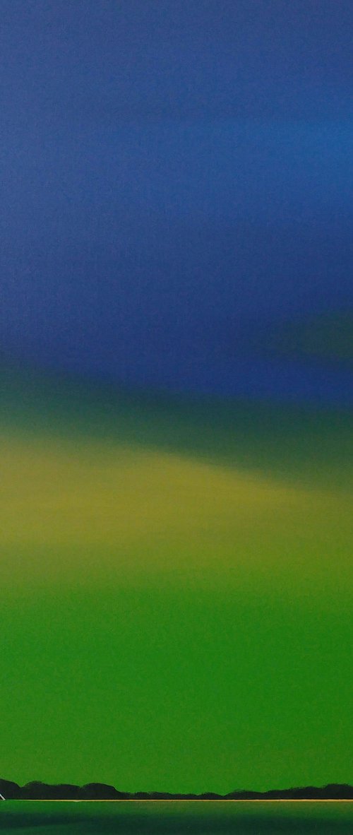 Aurora Borealis (4) by Nelly van Nieuwenhuijzen