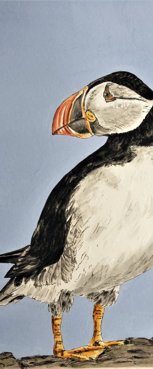 Puffin #2 by Laurence Wheeler