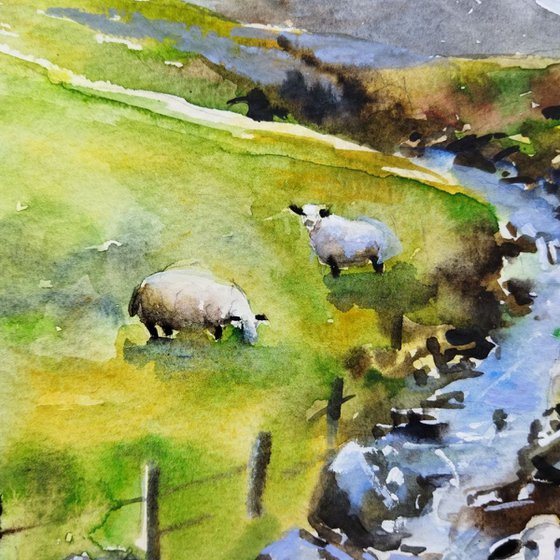 Scottish landscape with sheep