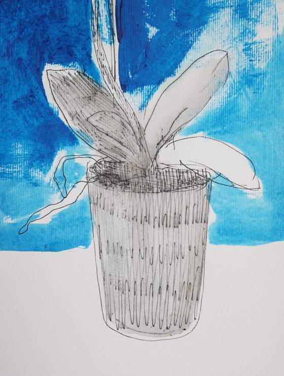 Orchid