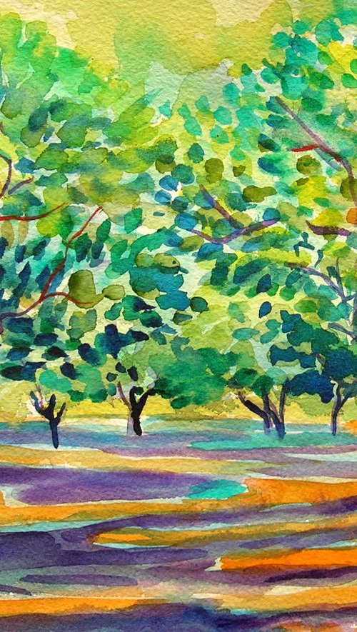 Summer olive orchard by Maja Grecic