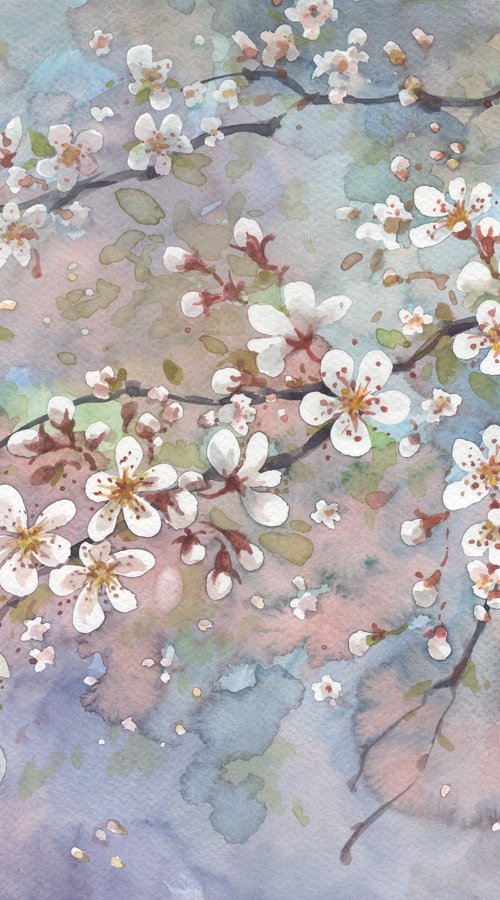 Cherry tree by Jolanta Czarnecka
