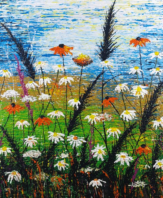 Daisy magic meadow