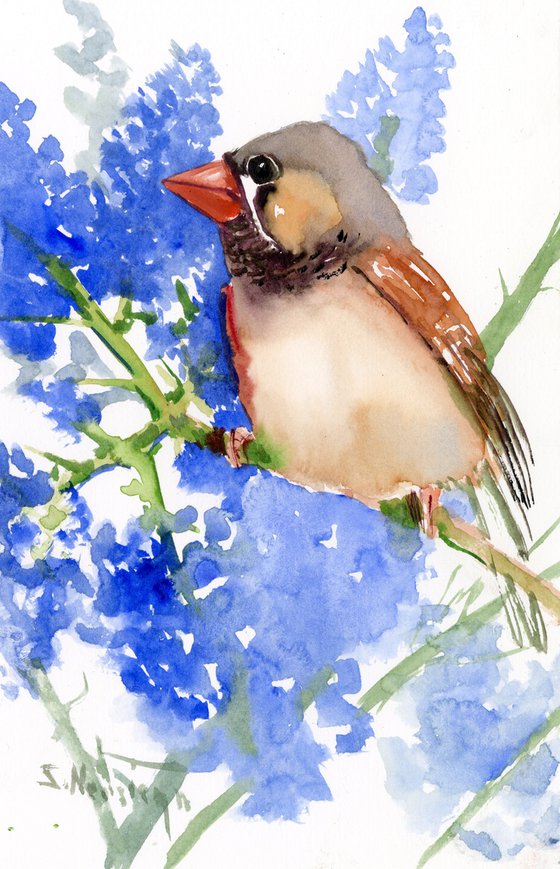 zebrafinch and blue flowers