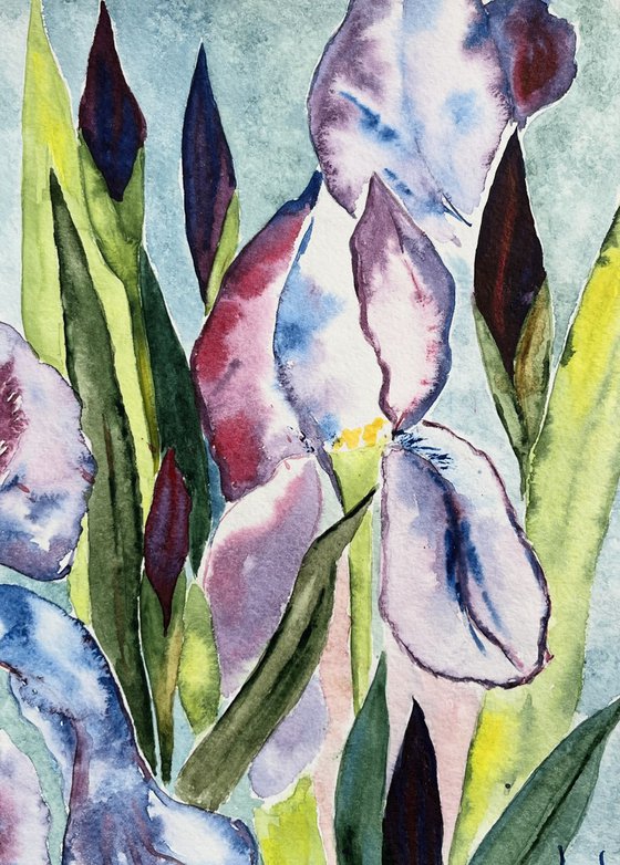 Irises Original Watercolor Art