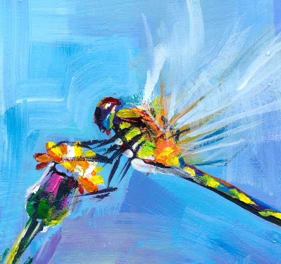 Dragonfly. Flowers, Meadow