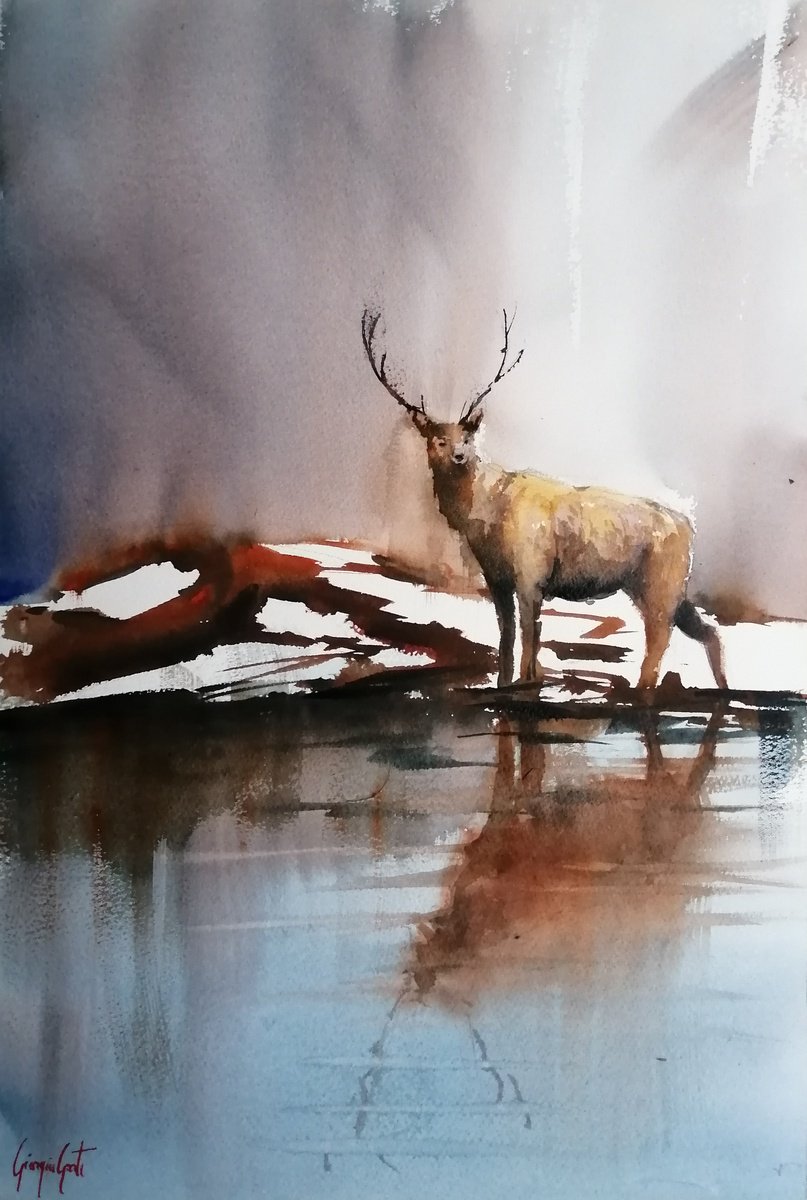Impressionistic Animal Watercolour By Giorgio Gosti, 14 X 21, Deer 5, Original Artwork