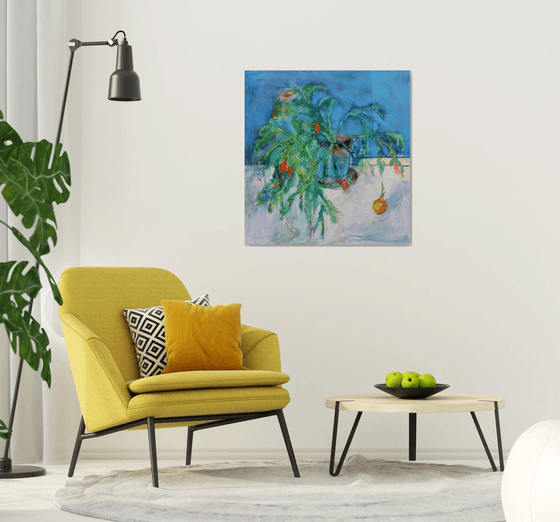 Schlumbergera. Christmas Cactus