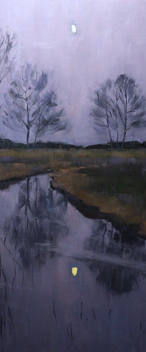Evening light by Yuanyuan Liu