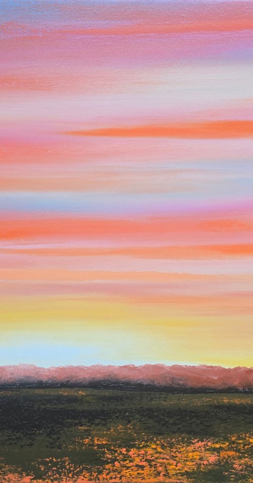Where Wildflowers Glow by Faith Patterson