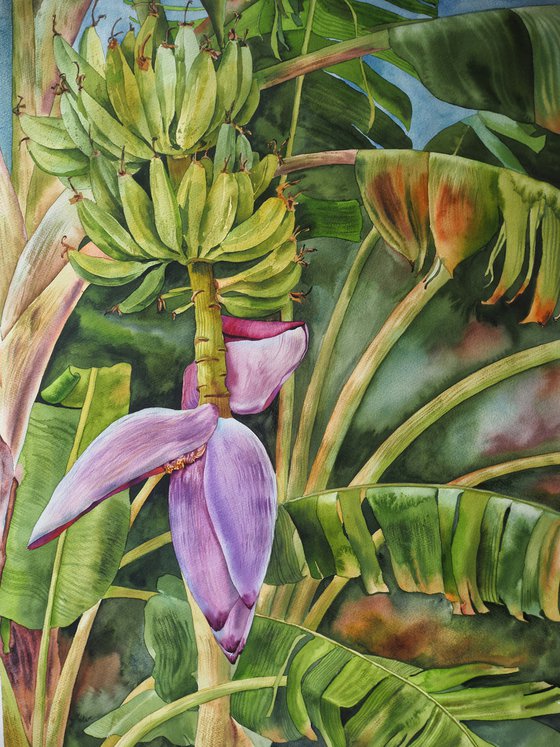Banana palm - original watercolor