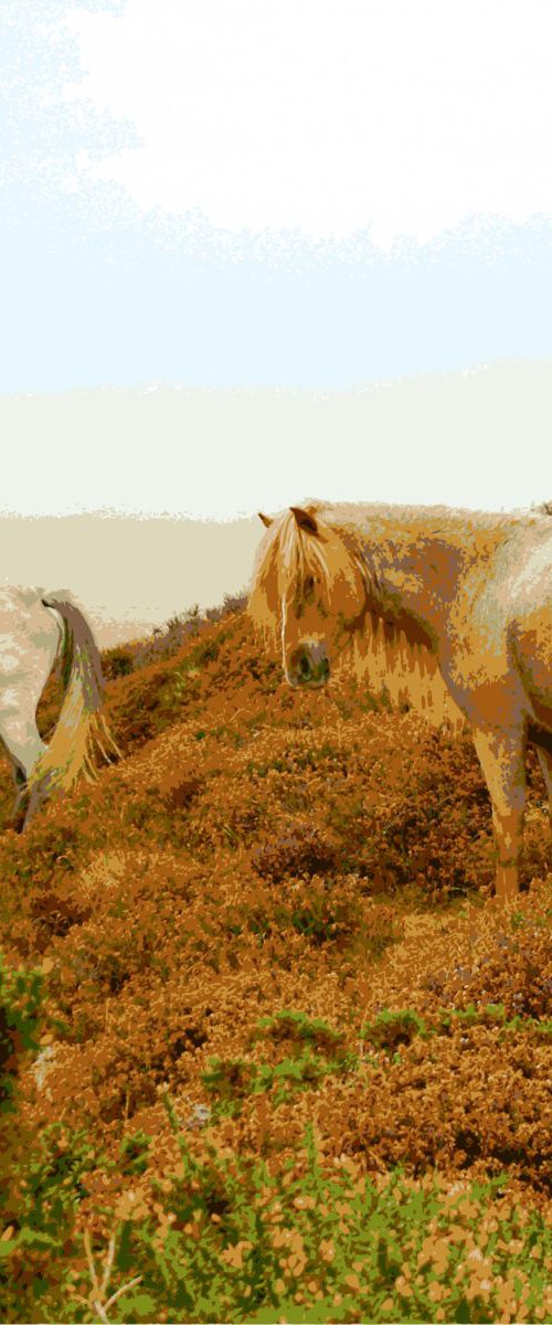 Mountain Ponies #2 by Keith Dodd